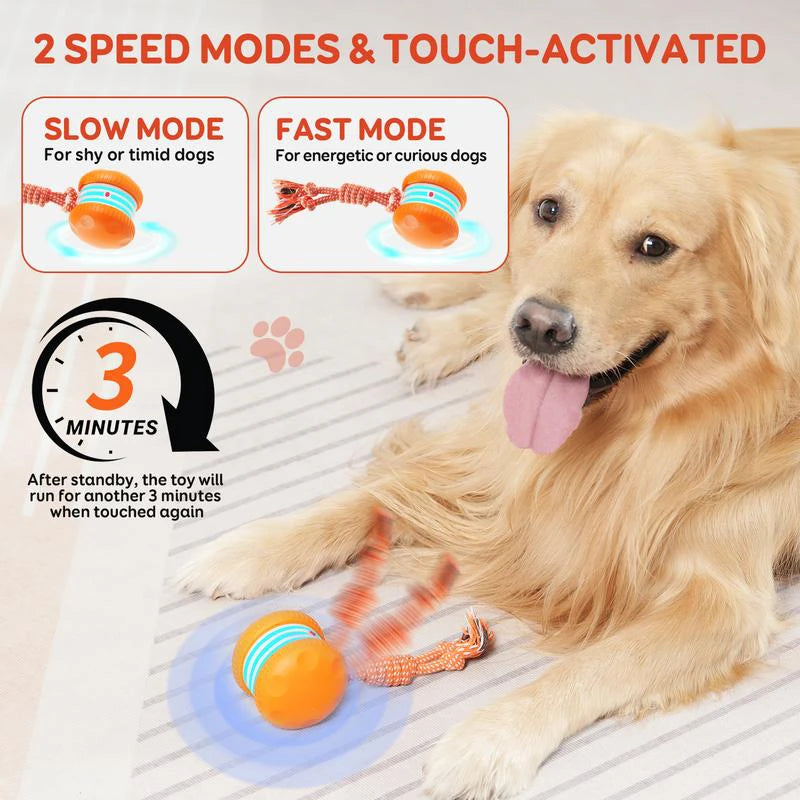 Smart Electric Interactive Pet Toy Ball Automatic Rolling Moving Ball USB Rechargeable Self-Moving Smart Ball Interactive Toys