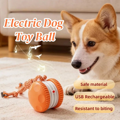 Smart Electric Interactive Pet Toy Ball Automatic Rolling Moving Ball USB Rechargeable Self-Moving Smart Ball Interactive Toys